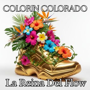 Brillo De Estrella Fugaz