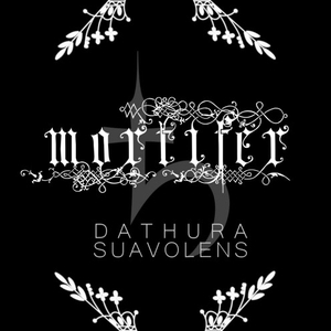 Babalon (Anti Cosmic Remix)