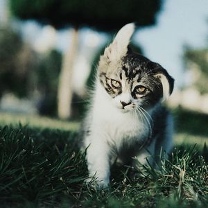 live a life with you