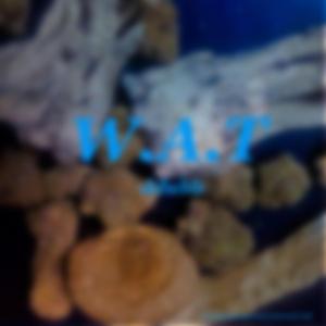 W.A.T