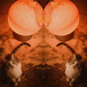 Spring (Immigration Song)