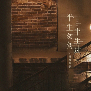 半生匆匆半生过 (女版伴奏)