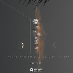 像看不到的另一半