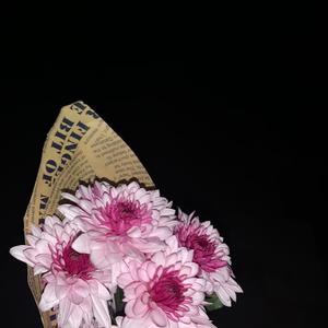 少女（翻自 林宥嘉）