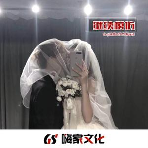 姐姐微信来了（DJ版）