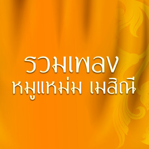 เลิกเมียบอกมา