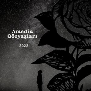 Amedin Gözyaşları 2022