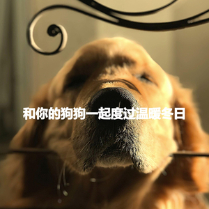 Casual Music for Simple Interests