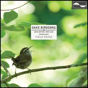 Downy Woodpecker, Lesser Goldfinch, and Spotted Towhee in the Rain