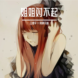 姐姐对不起