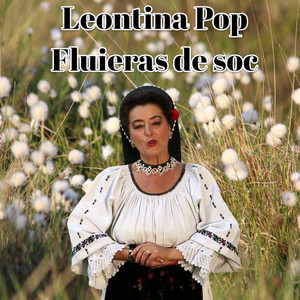 Fluieras de soc