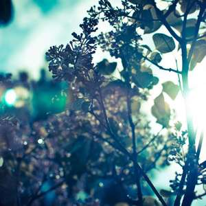 Secret base（钢琴-吉他）