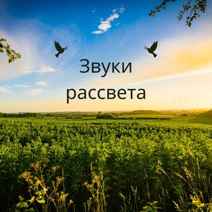 Музыка утренней росы