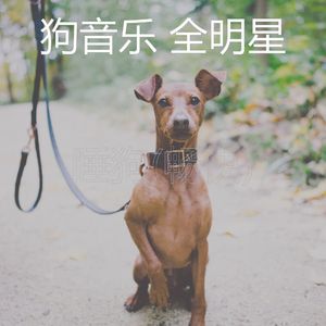睡觉的小狗(养育)