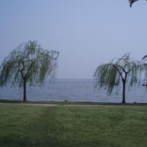 张三的歌-一建经济口诀（作词：张湧）