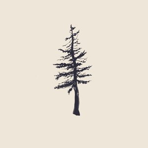 Evergreen