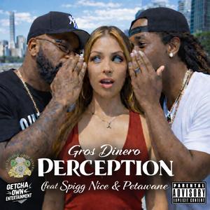 Perception (feat. Spigg Nice & Petawane)