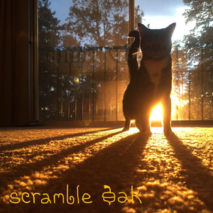 Scramble Oak