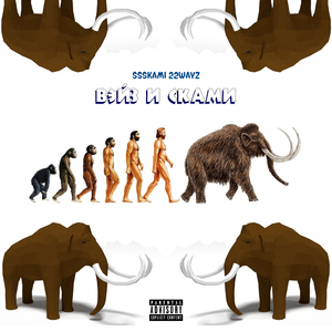 Вэйз и сками