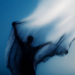 Not too much (无所求)