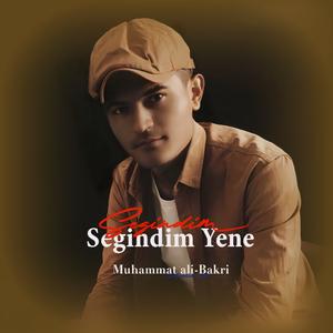 Segindim Yene又想你