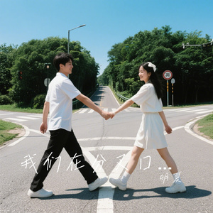 我们在分叉口说了再见