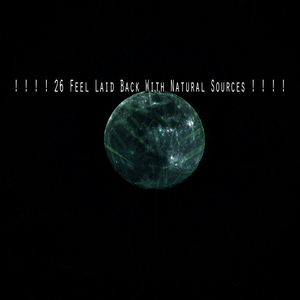 提升到更高的存在