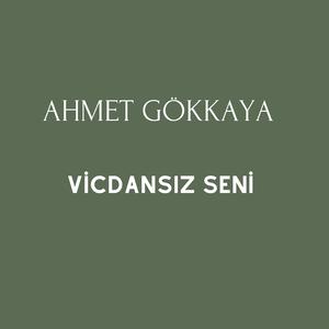 Vicdansız Seni