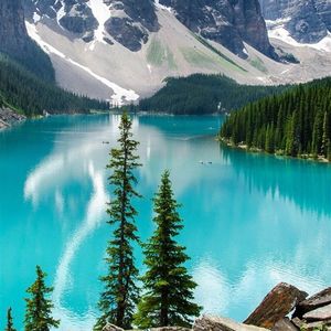 Free Beat 落寂幽兰