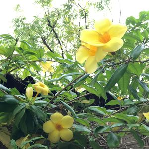 明明很受伤却无法忘记