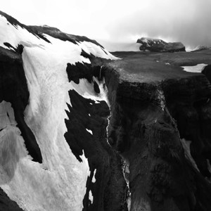 And went on in sunlight into the Hofgarten