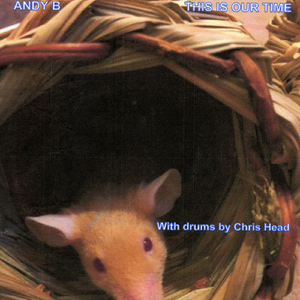 I Can See Right Through You