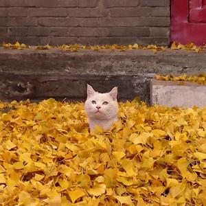 你的一切与我无关