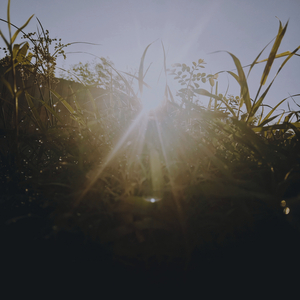 เธอที่รักคนอื่น