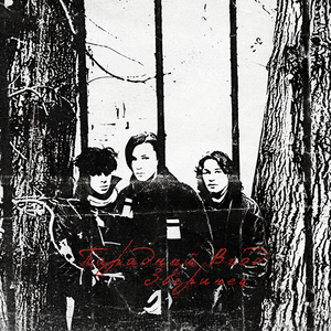 Дорога (посвящается Янке Дягилевой)