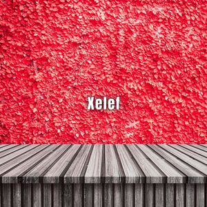 Xelef