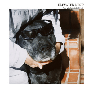 Elevated Mind