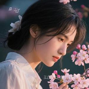正逢海棠未眠时