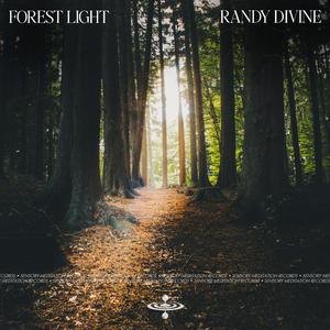 Forest Light (feat. Nina Nalo, Alma Lin, Flame Timo, Jasper Whisper & Sensory Meditation)