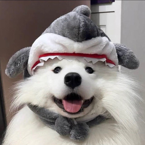 你的遗憾与我有关