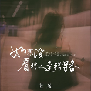 如果没看错人走错路