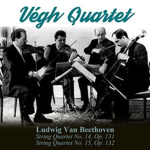 String Quartet No. 14, Op. 131: IV. Andante ma non troppo e molto cantabile