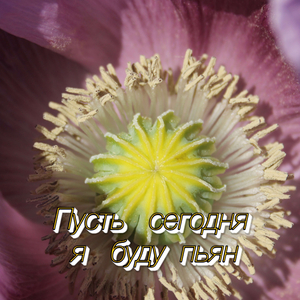 ТРЕТЬЕ ДЫХАНИЕ