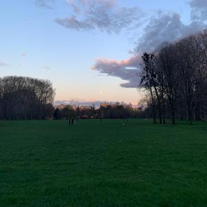 vide