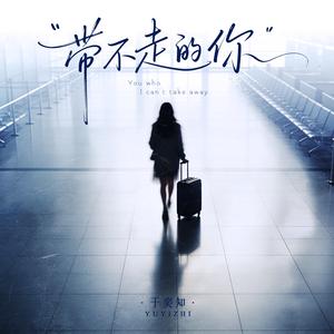 带不走的你