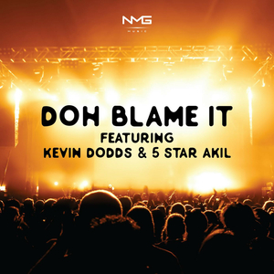 Doh Blame It
