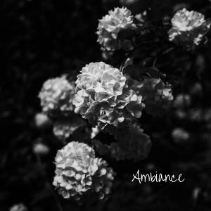 Anxiété