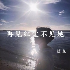 我走过大漠飞沙满天烟花