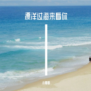 漂洋过海来看你