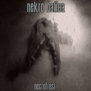 Necrofrost